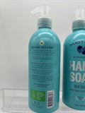(2) Hand In Hand Liquid Hand Soap Sea Salt 10 Oz Sweet Mint & Eucalyptus Vegan