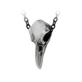 Alchemy Gothic P752  Rabenschadel Klein Necklace Pendant Raven Skull Odin