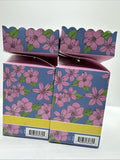 (2) Burt's Bees Watermelon & Mint Gift Box Hand Creme Tinted Balm Lip Balm