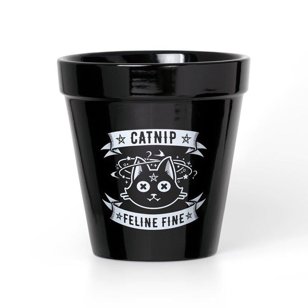 Alchemy Gothic GPP3 Catnip Plant Pot Kitchenware Ceramic Feline Cat In/out 5”