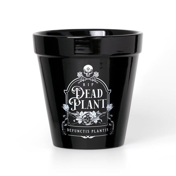 Alchemy Gothic GPP7 Black RIP Dead Plant Pot Potter Skull Kitchenware Ceramic 5”