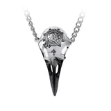 Alchemy P898 Volvan Ravenskull Raven Skull Necklace Gothic Pendant England