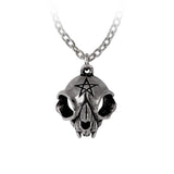 Alchemy Gothic P938- My Forever Friend Necklace Pendant Which Halloween Skull