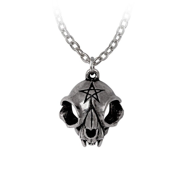 Alchemy Gothic P938- My Forever Friend Necklace Pendant Which Halloween Skull