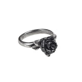 Alchemy Gothic R237 Token of Love Ring Black Rose England MOST SIZES IN HAND ❤️