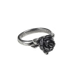 Alchemy Gothic R237 Token of Love Ring Black Rose England MOST SIZES IN HAND