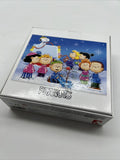 Peanuts 15x11” Festive Fun Charlie Brown Snoopy WoodstocK Puzzle 100 pc