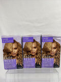 (3) Dark and Lovely 378 Honey Blonde SoftSheen-Carson Fade Resistant Hair Color
