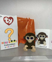 Ty Mini Boo Collectable Hand Painted YOU CHOOSE Buy More Save + Combine Shipping
