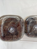 (3) OLLY Kids Immunity Multi Vitamin Cherry Berry  50 Gummies 8/24